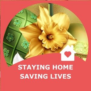 Meet your Posher, Ella